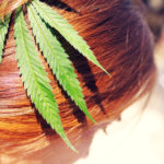 Maconha é bom para o cabelo? Saiba a verdade