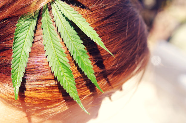 Maconha é bom para o cabelo? Saiba a verdade